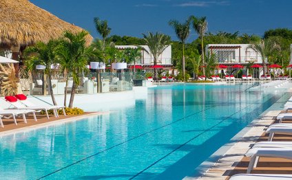 Discover the Zen Oasis