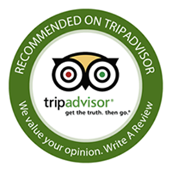 Review us on Tripadvisor